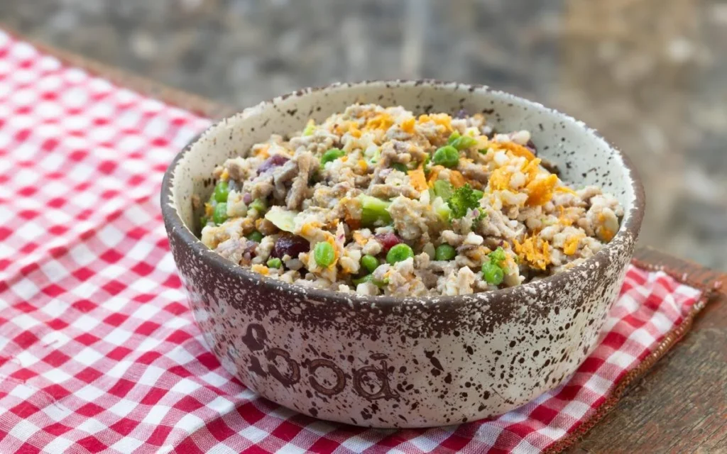 Domača pasja hrana Doma narejena zdrava pasja hrana s preprostim receptom.
